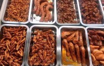 你想學(xué)鹵菜嗎？不拿料、不加盟，技術(shù)最重要！